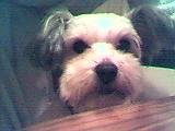 Rusty2