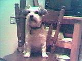Rusty3