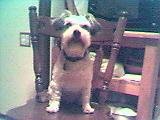Rusty4
