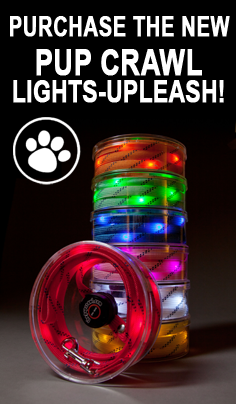 dog leashes